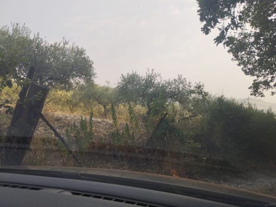 Landejendom i Santo Stefano Quisquina, Agrigento - foto 5